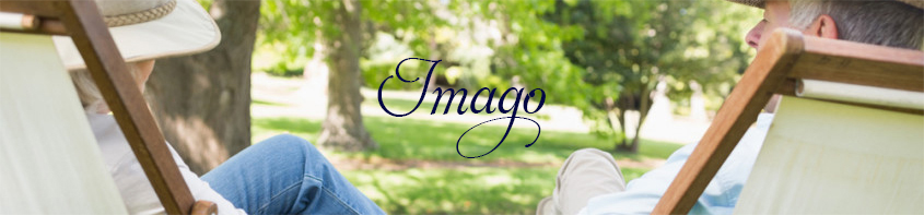 Imago Counseling Banner